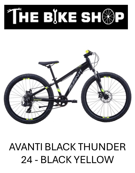 Avanti black thunder mountain bike cheap
