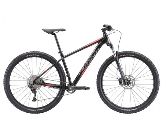 Avanti Competitor 1 Mountain Bike - Black