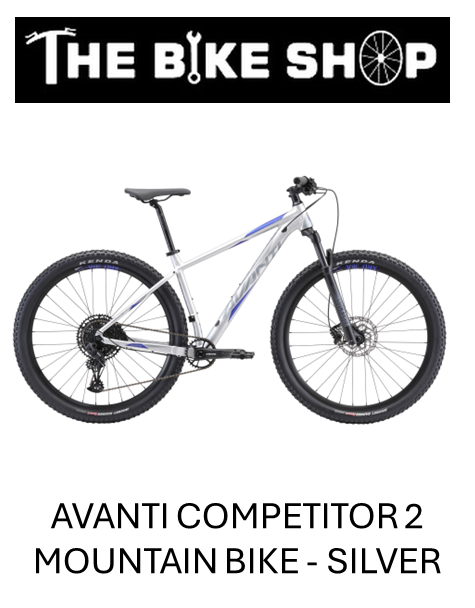 Avanti Competitor 2 Mountain Bike - Silver