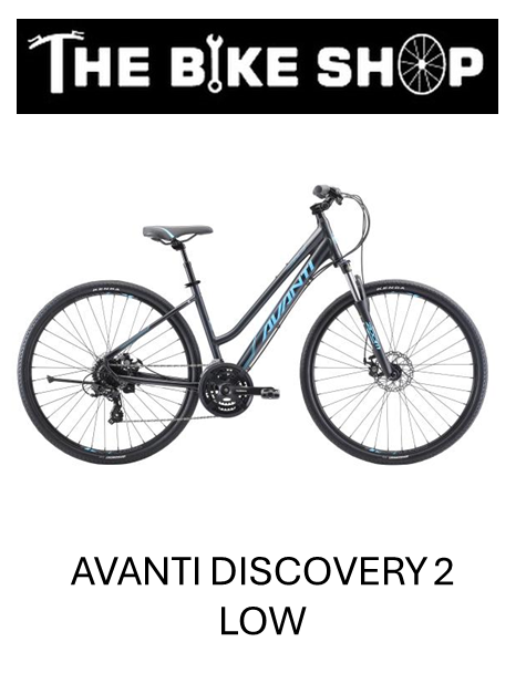 Avanti Discovery 2 Low Hybrid Bike