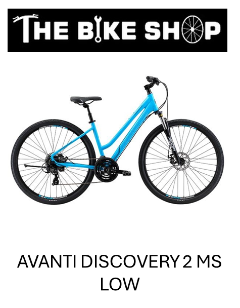 Avanti Discovery 2 MS Low