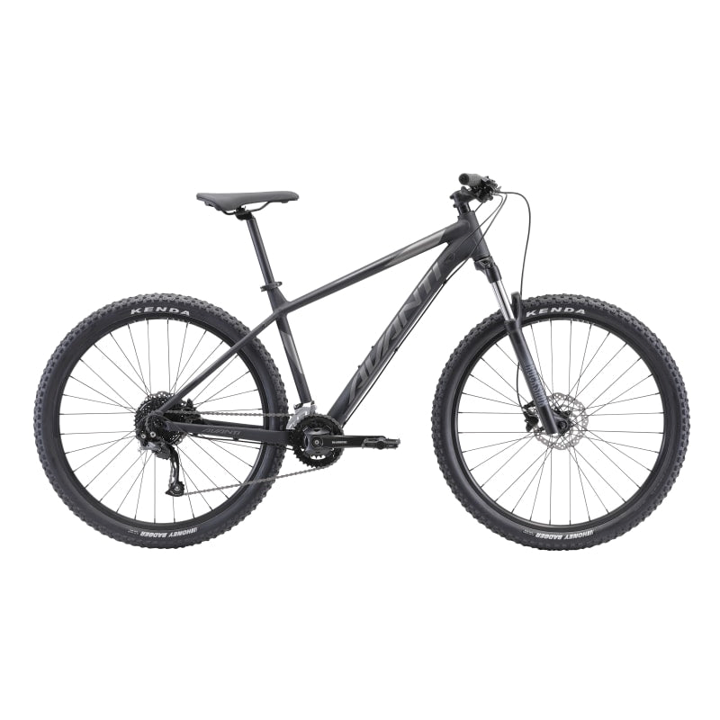Avanti Montari LE MTB